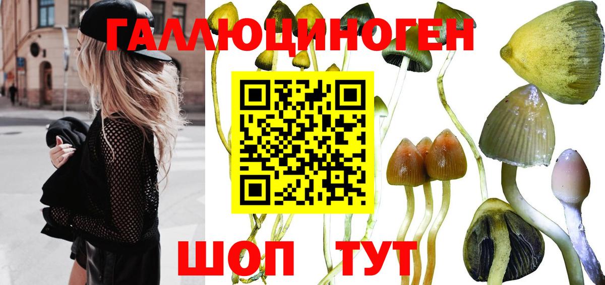 где купить наркоту  Вход с VPN  Рославль  Галлюциногенные грибы Magic Shrooms 